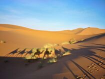 Schatten einer Kamelkarawane im Sand von Dieter Stahl