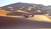 'Kamele in der Sahara' von Dieter Stahl