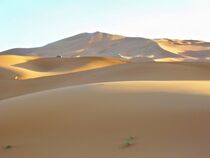 Sanddünen in der Sahara kurz vor Sonnenuntergang von Dieter Stahl