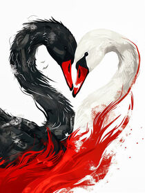 Schwanenliebe mit Herz in Schwarz-Weiß-Rot | Swan love with a heart in black, white and red von Frank Daske