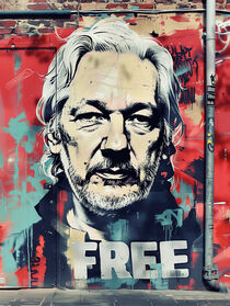 Free Julian Assange | Street Art Graffiti von Frank Daske
