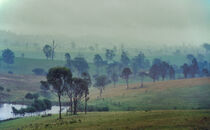Rainy, misty meadows by David Halperin