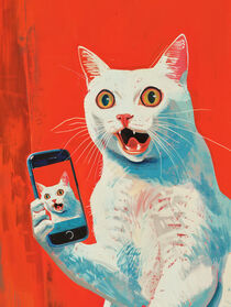 Katzen-Selfie auf dem Handy | Cat Selfie on Mobile von Frank Daske