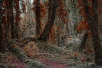 'Twilight Forest' von CHRISTINE LAKE