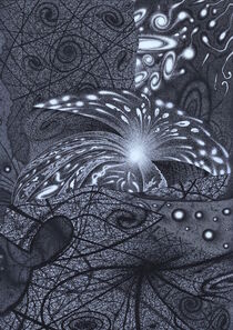 Our Universe: an Endless Collage of Light and Darkness von Friedrich W. Stumpfi
