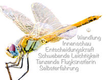 Krafttier Libelle - Schwebende Leichtigkeit von Astrid Ryzek