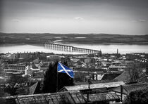 Dundee Flag by Ed The Frog