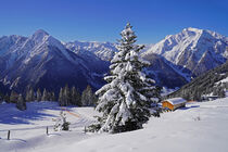 Alpenpanorama mit Nadelbaum im Vordergrund und Hütte von babetts-bildergalerie