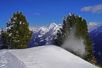 Schneeverwehung und Baum mit rieselndem Schnee von babetts-bildergalerie