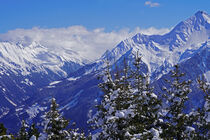Alpenpanorama by babetts-bildergalerie