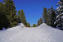 Winterwanderweg in den Alpen by babetts-bildergalerie