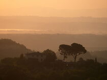 Toskanische Landschaft im Morgenlicht von Markus Beck