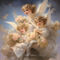Thonksy-create-a-baroque-style-angelic-scene-with-plump-cherubi-38b550ca-aba8-4bb6-8da4-7df1d6dc5c21