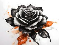 'schwarze Rose mit colorkey' von blackandwhiteforyou