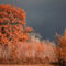 'Stormy Autumn' von CHRISTINE LAKE