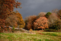 Stormy Autumn 2 by CHRISTINE LAKE