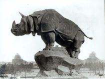 Rhinoceros by Adolphe Giraudon