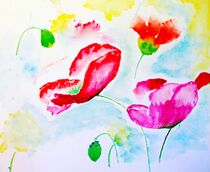 poppies von Maria-Anna  Ziehr