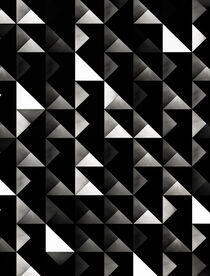 Monochrome Symmetry von Diego Fernandes