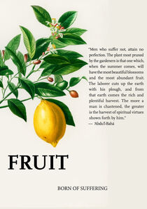 Fruit: Born of Suffering by Rene Steiner