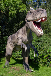 Dinosaurier (Allosaurus) von René Lang