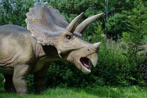 Dinosaurier (Triceratops) von René Lang