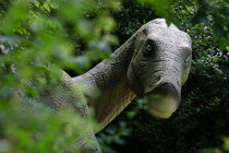 Dinosaurier (Maiasaura) by René Lang