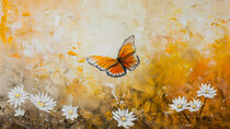 'Orange Butterfly' by groove-to-nature