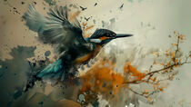 Kingfisher by groove-to-nature