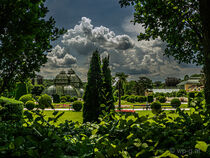 Wolkenstimmung „Vor dem Gewitter“ - Palmenhaus Wien von Franz Grolig