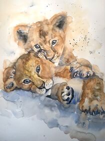 Löwenbabies von Claudia Pinkau