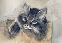 Getigertes Kätzchen by Claudia Pinkau