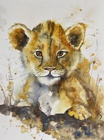 Junger Löwe von Claudia Pinkau