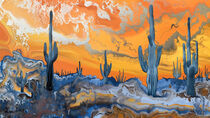 Saguaro cacti by groove-to-nature