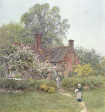 Cottage at Chiddingfold  von Helen Allingham