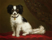 Portrait of a Spaniel  by Anonymous