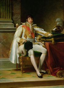 Louis Bonaparte  by Baron Francois Pascal Simon Gerard