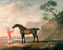 Scapeflood  by George Stubbs