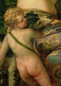 Cupid by Veronese