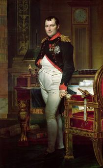 Napoleon Bonaparte  by Jacques Louis David
