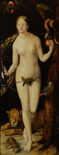 Eve  von Albrecht Dürer
