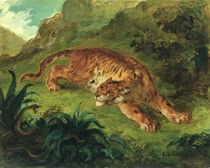 Tiger and Snake von Ferdinand Victor Eugene Delacroix
