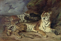 Young tiger playing with his mother von Ferdinand Victor Eugene Delacroix