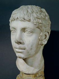 Bust of Heliogabalus  by Roman