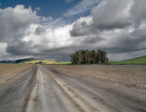 At the end of the road by Pablo Vicens