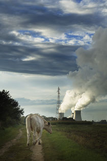 'Nuclear Cow' by Tom Hanslien