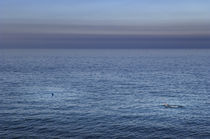 Swimming in the Ocean, Greystones, Ireland. by Tom Hanslien