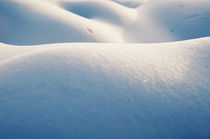 snowbody here? by Thomas Schaefer