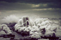 Frozen elements 2 by Justine Høgh