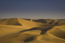 Golden Sand Dunes, Swakopmund von Russell Bevan Photography